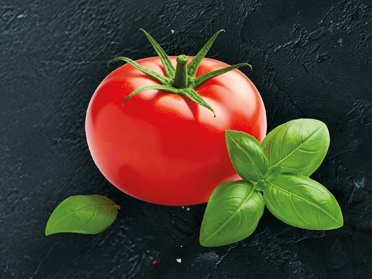 Tomaten Basilikum Crema